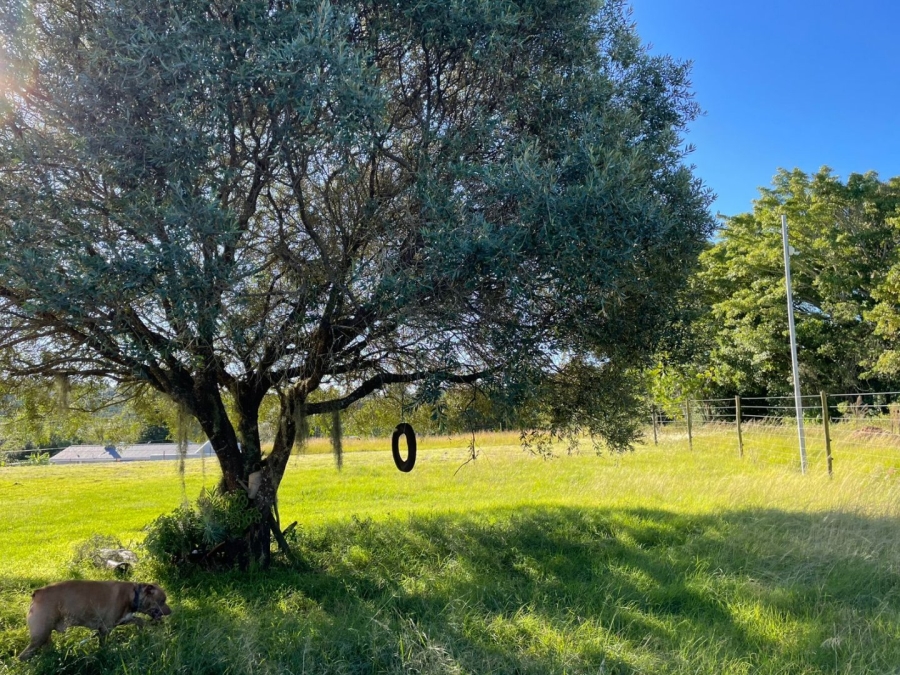 3 Bedroom Property for Sale in Bathurst Eastern Cape